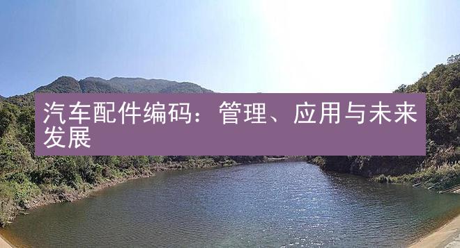 汽车配件编码：管理、应用与未来发展